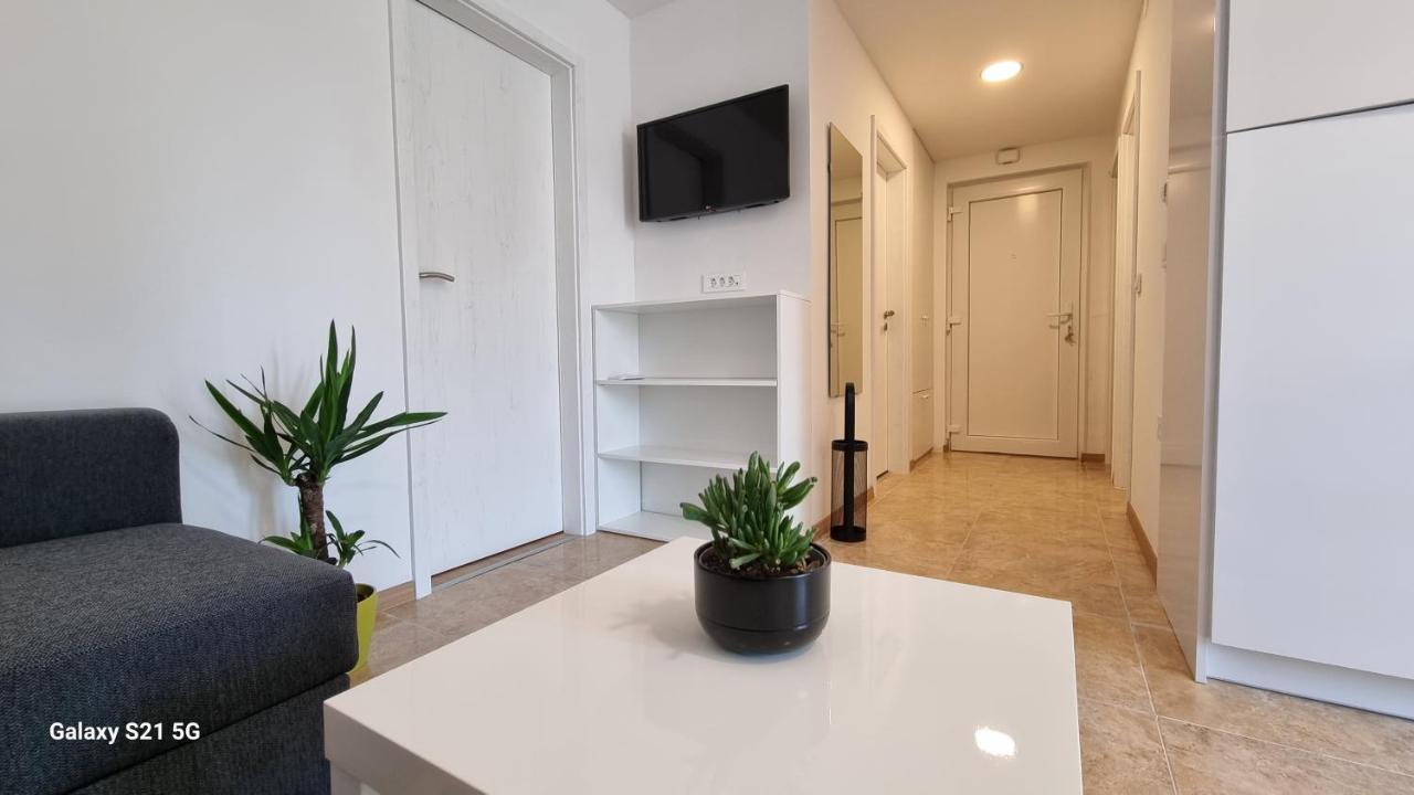 Apartment Rivarela Blu - Newly Renovated And Top Location Near Sea Novigrad Istria Buitenkant foto