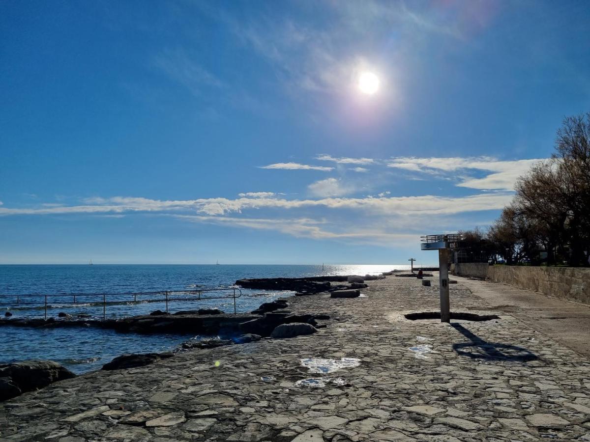 Apartment Rivarela Blu - Newly Renovated And Top Location Near Sea Novigrad Istria Buitenkant foto